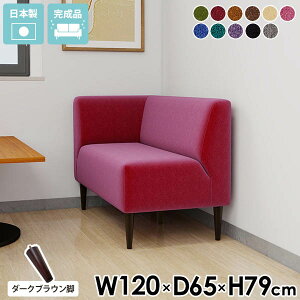 _CjOx` 120cm wt 2l|  _CjO\t@ l| R[i[ 2l ubN _CjO x` w ҍ \t@ x``FA R[i[\t@ \t@[ 