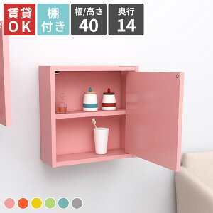 ウォールラック 扉付き 壁掛けラック 壁面ラック 棚付き ウォールシェルフ パステル 神棚 賃貸 石膏ボード リビング 収納ラック ウォール 取り付け 家具 リビングルーム シンプル ラック デ