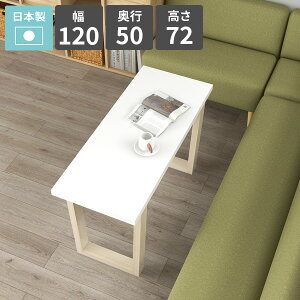 _CjOe[u ` X   120cm He[u rO_CjO \t@[e[u  lp  zCg 2l| JtFe[u rOe[u ƃXy[X