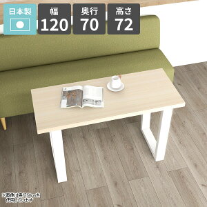 _CjOe[u X^CbV  120cm He[u rO_CjO \t@[e[u  lp  zCg 2l| JtFe[u rOe[u ƃXy[X 