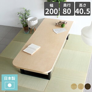 JtFe[u [e[u 傫 p 傫 e[u rOe[u rO ؖ 40cm   l { k ڃe[u ؐ  Z^[e[u  E