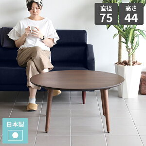 rOe[u  Z^[e[u  EH[ibg R[q[e[u ~` [e[u 傫 ԑ ~ ؐ 񍂂45cm ~ ی^ JtFe[u ۃe[u  ؐe[