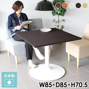 _CjOe[u 2l 2lp   rOe[u JtFe[u lp l炵  ` 1{r {r 70cm _CjO e[u He[u zCg [ 