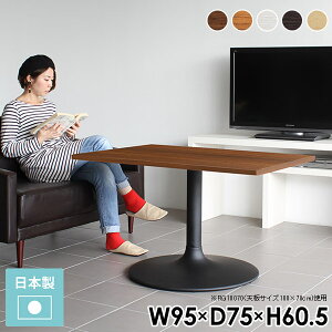 JtFe[u lp _CjOe[u  uE rOe[u 2l 60cm l炵 Z^[e[u   e[u  R[q[e[u AeB[N k X J
