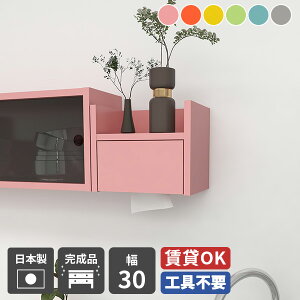 eBbVP[X eBbVJo[ eBbVz_[ Ǌ| eBbV{bNX @\ Ǌ|bN y[p[{bNX 30cm EH[VFt P[u{bNX P[u{