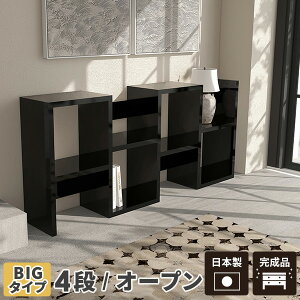 fBXvCbN s i gݗĕsv {I }KWbN ҍ ubN bN  I[vbN 4i I X s30cm fBXvC I rO [ rO[ ^ 