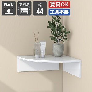 EH[bN  R[i[ Vv R[i[bN  xbhTCh Lb` EH[VFt  rO[ bN ʏ _ [I oX[ [Ƌ fBXv