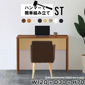 パソコンデスク 120 スリムデスク スリムテーブル ワークデスク 作業台 木製 薄型 pcデスク コンパクト デスク ホワイト 勉強机 大人 おしゃれ 白 大学生 スリム 机 120cm 安い パソコン シンプ