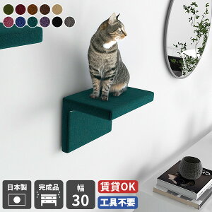 LbgEH[N  Lp LbgXebv Ǌ| bN ǖ I LƋ EH[VFt ybgƋ  { i EH[bN  ΍p{[h ˂ L Xebv Ki 