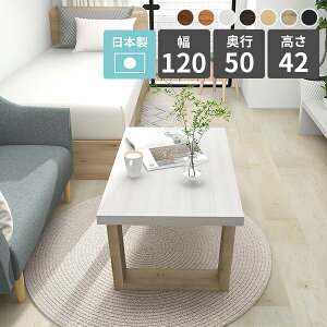 [e[u   120 Z^[e[u ڃe[u  120 \t@e[u rOe[u e[u l炵 zCg k  JtFe[u 120cm ؐ \t@[