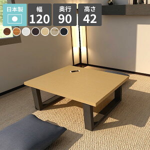  [e[u a_ 120 e[u  ~ Z^[e[u  120 a e[u rOe[u 傫 傫  k zCg ڃe[u ؐ 120cm R