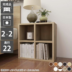 bN 2i {I I[vbN 񉜍s20cm ~jbN ؐ I  Ⴂ [^Cv fBXvCbN R~bNbN ^ I 50cm zCg X  ~j J[{bNX 