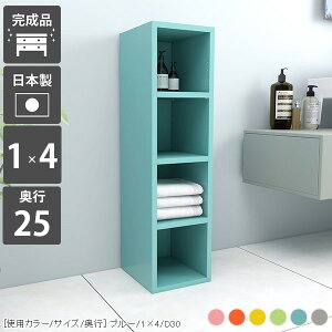 {I fBXvCbN J[{bNX X I[vbN bN 4i fBXvC I XbN RpNg A4 s25cm  I[v{bNX  I 4ibN 