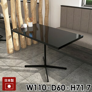 JtFe[u _CjOe[u He[u ubN  nCe[u rOe[u PCfXN Ƒ JtF lp   傫 110cm 110 {r _ Vv { 2