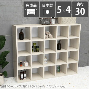 {I [ e A4 I[vbN  rO[ fBXvCbN zCg bN 4i s30cm u 120 i R~bN[ ubNVFt k t[bN  