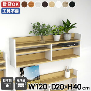 EH[VFt 120cm X bN VFt EH[bN Ǖt Ǌ|[ fBXvCbN ^bN k _ ItBX Lb` rO[  I Ǌ|I f