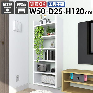 Ǌ|bN EH[VFt XbN Ԏ[ s25cm  fBXvCbN [I  50cm i { Lb` I ItBX ^bN rO ǖʎ[ 