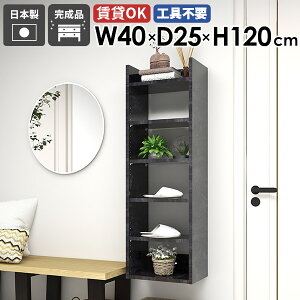 Ǌ|VFt EH[bN [I  ܎[ s25cm i gC rO { ǂɂI I  fBXvCbN Lb` 40cm I[vbN ^