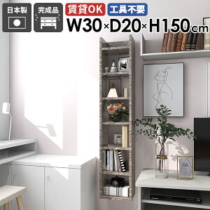 EH[VFt fBXvCbN Ǌ|bN rO Ԏ[ { i 30cm [I k XbN s20cm Lb`[  ItBX  JtF ȃXy[X 