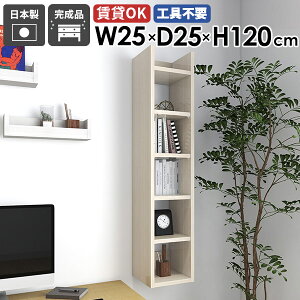 fBXvCbN [I {  _ I k  s25cm I[vbN Ǌ|VFt gC XbN 25cm ΍p{[h i rO I Lb`[ 