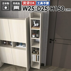 XEH[VFt fBXvCbN Ǌ|bN t Lb`[ I ȃXy[X  JtF rO ItBX ǖʎ[  25cm ܎[ ΍p{[h _ 