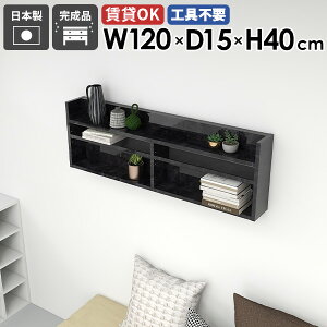 EH[bN EH[VFt 120cm  嗝Ε ubN  Ǌ|bN Ǌ|[ I Ǌ|I fBXvCI X ^bN k ItBX VFt ǖʎ[  t 