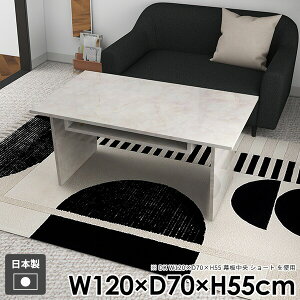 センターテーブル 北欧 おしゃれ 一人暮らし リビング コーヒーテーブル 机 テーブル 収納付き モダン 和室 ローテーブル カフェテーブル ソファテーブル 組立簡単 シンプル 高級感 ストー