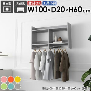 壁掛けハンガーラック 壁掛けラック ベッドルーム ディスプレイ ウォールシェルフ 家具 衣類収納 シンプル 収納棚 取り付け 石膏ボード 賃貸 洗面所 スリム コート掛け 玄関 棚付き クロー