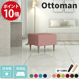 ミニチェア ソファ 一人掛け オットマン 高さ40 スツール チェア 高さ40cm ロースツール ミニソファ 1人掛けソファ 玄関椅子 玄関チェア 1人掛け 北欧 ミニスツール ソファー 一人用 足置き 1人 チェアー 日本製 小さい ブルー ピンク 【アーネ共通オットマン】 □
