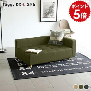 カウチソファ 片肘 2人 ローソファー 脚付き ローソファ 2人掛け 硬め グレー 日本製 コンパクト コーナー ソファ モダン コーナーソファー 北欧 コーナーソファ カウチ L字 ロータイプ カウ