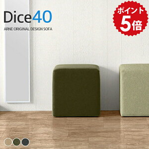 Xc[ 40cm Ibg} 40cm `FA _CjO |  hbT[`FA hbT[ ҍ ֎q q _CjO`FA _CjOXc[  x` \t@ lp \t@[ 