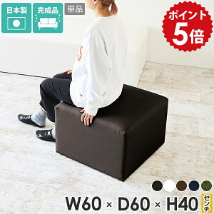 Ibg} U[ [Xc[  x` kbN \t@ Xc[  60cm tAXc[ ҍ֎q r[`FA ACh\t@  ItBX `FA wȂ lp  u