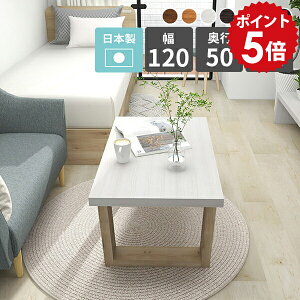 [e[u   120 Z^[e[u ڃe[u  120 \t@e[u rOe[u e[u l炵 zCg k  JtFe[u 120cm ؐ \t@[