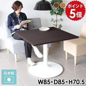 _CjOe[u 2l 2lp   rOe[u JtFe[u lp l炵  ` 1{r {r 70cm _CjO e[u He[u zCg [ 