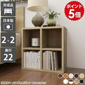 bN 2i {I I[vbN 񉜍s20cm ~jbN ؐ I  Ⴂ [^Cv fBXvCbN R~bNbN ^ I 50cm zCg X  ~j J[{bNX 
