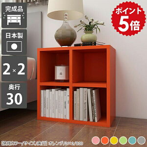 カラーボックス オープンラック ラック 高さ50cm ミニラック 2段 a4 棚 小さい 大型本 奥行30 本棚 完成品 ブックシェルフ 奥行30cm ディスプレイラック 低い ロータイプ 小型 ミニ サイドラック