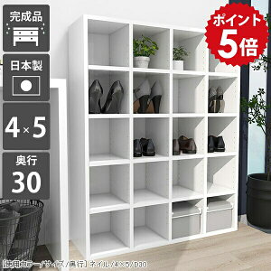 {I [ e I[vbN 5i  s30cm a4 VFt fBXvCbN ɖ{ zCg bN  I s30 [   i gݗĕsv  ubNVFt 