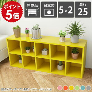 {I  ObY[ [ I e J[{bNX  2i 2i{bNX a4 2ibN Ⴂ [^Cv s25cm  u bN 50cm rO[ fBXvCbN ǖʎ[ 