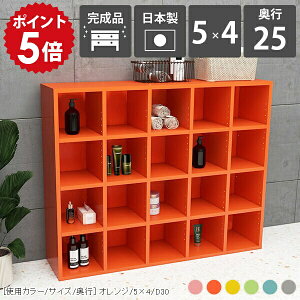 }K{I R~bNbN J[{bNX fBXvCbN 4i {I e i ObY[ Vv 4ibN s25cm A4 ubNVFt 킢  gsv }K R~