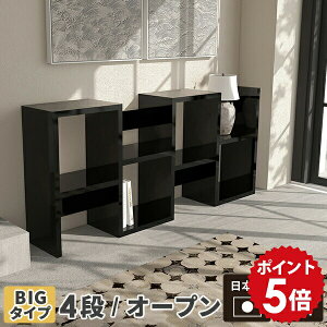 fBXvCbN s i gݗĕsv {I }KWbN ҍ ubN bN  I[vbN 4i I X s30cm fBXvC I rO [ rO[ ^ 