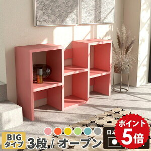 I[vbN X {I s30cm bN 3ibN fBXvCbN 3i i gݗĕsv J[{bNX rO  [ fBXvC I sN rO[ ^ r