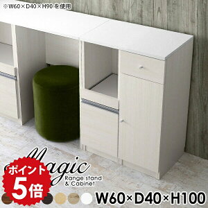 [I X Lb`JE^[ l炵 Lrlbg zCg  s40cm HI Lb` I [ 60Z` RZgt 60 bN o ؐ Jbv{[h  t Lb