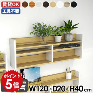 EH[VFt 120cm X bN VFt EH[bN Ǖt Ǌ|[ fBXvCbN ^bN k _ ItBX Lb` rO[  I Ǌ|I f