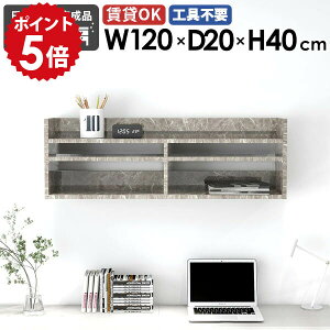 EH[VFt 嗝Ε XbN VFt O[Xg[ Ǌ|I EH[bN 120cm Ǌ|[ fBXvCbN ^bN k  ItBX Lb` rO