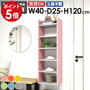 XEH[bN fBXvCbN Ǌ|VFt { ItBX Ǌ|bN 40cm Ԏ[ rO I[vbN JtF ȃXy[X [I   i _ 