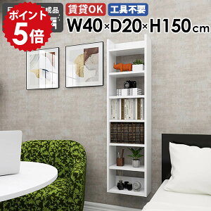 EH[bN Ǌ|VFt fBXvCbN rO  ȃXy[X  I s20cm [I Ԏ[ gC ItBX { k XbN 40cm JtF i 