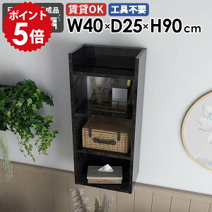 Ǌ|VFt EH[bN fBXvCbN Ǖt k s25cm 40cm {  rO  Lb`[ ȃXy[X _ t  JtF ΍p{[h [I i I