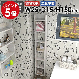 EH[VFt fBXvCbN Ǌ|bN  rO s15cm ȃXy[X XbN _ 25cm k JtF [I I[vbN ǖʎ[  ItBX I