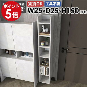 XEH[VFt Ǌ|bN fBXvCbN [I VFt JtF 25cm s25cm ȃXy[X I Ԏ[ _ Lb`  ^bN t  ItBX 