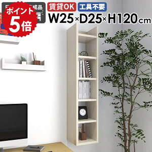 fBXvCbN [I {  _ I k  s25cm I[vbN Ǌ|VFt gC XbN 25cm ΍p{[h i rO I Lb`[ 